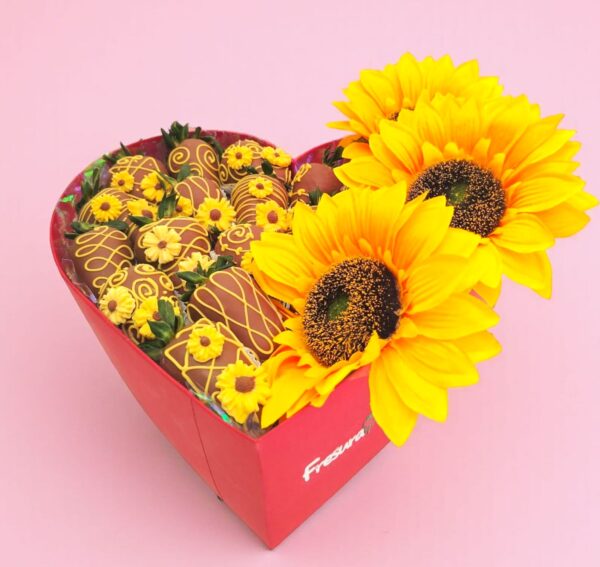 Premium Girasoles